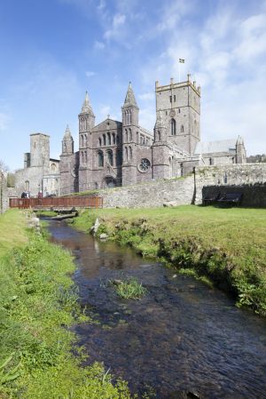 st davids 111 sm.jpg